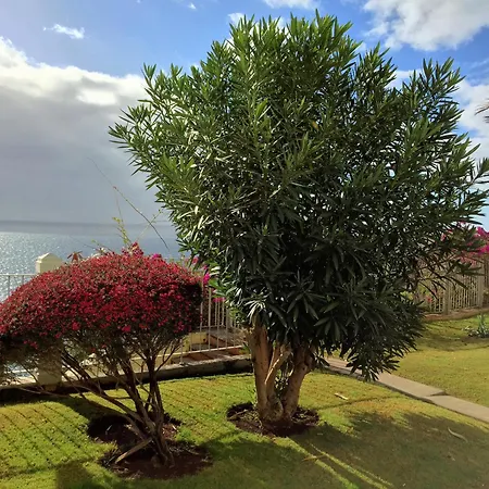 Finest - Beachfront Penthouse Funchal (Madeira)