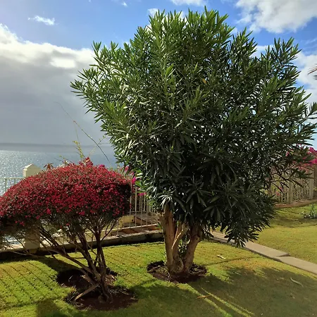 Finest Rentals - Beachfront Penthouse Funchal (Madeira)